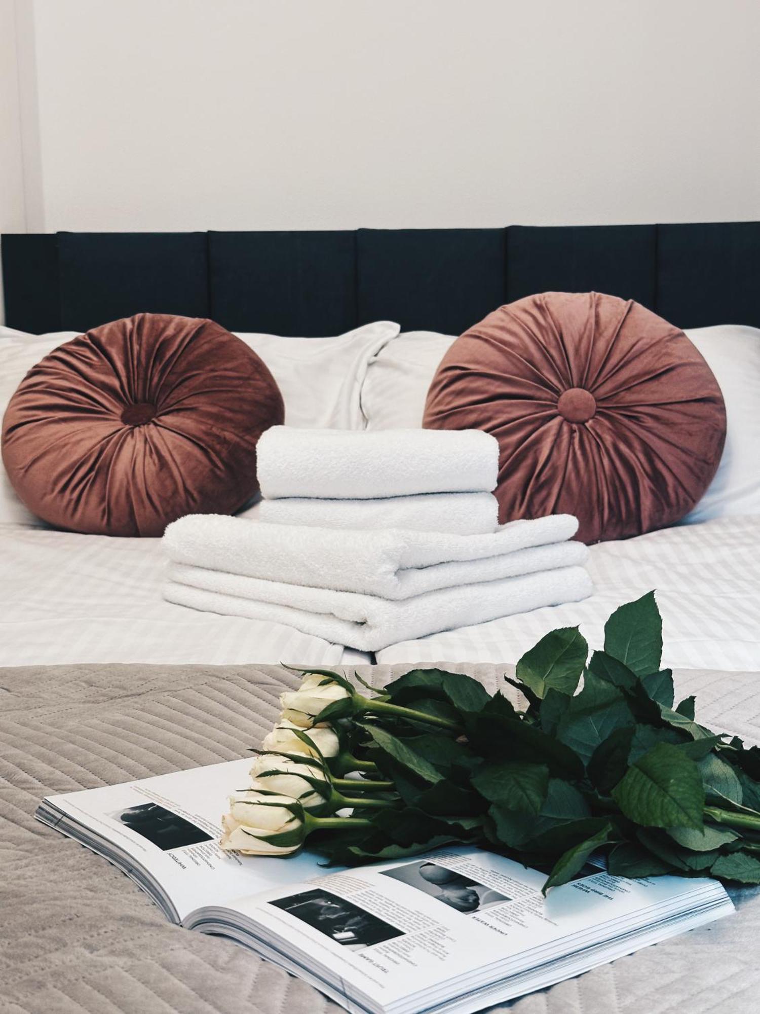 Soft Loft Apartamenty Торунь Екстер'єр фото